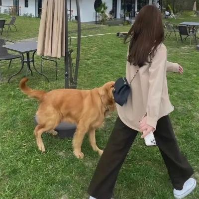 鼹鼠人